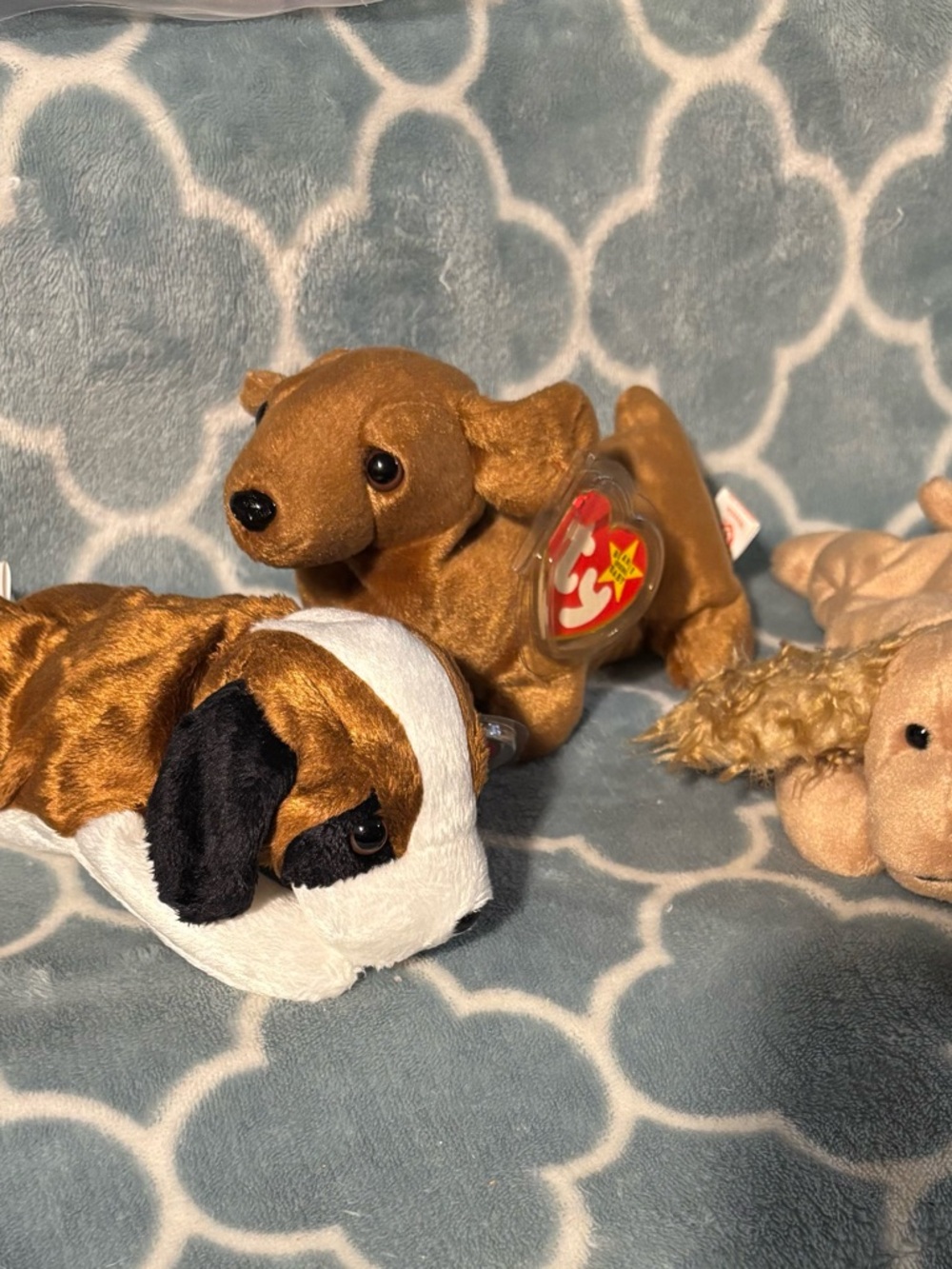 Ty Dogs Beanie Babies lot of 3